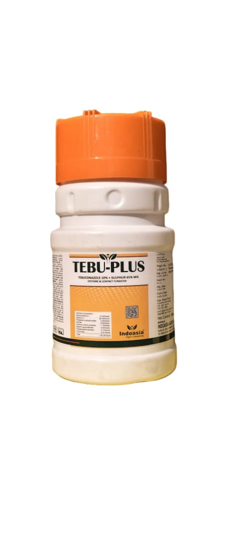 TEBU-PLUS