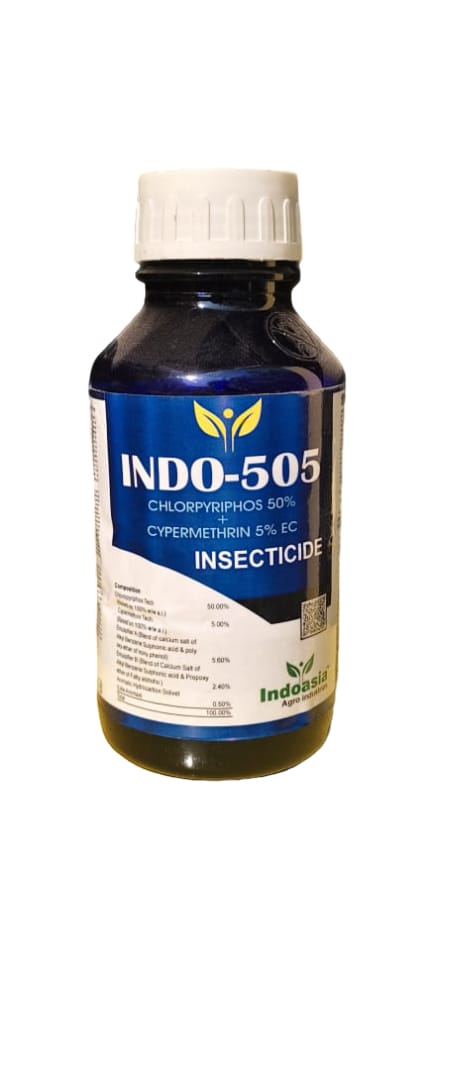 INDO-505