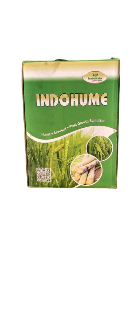 INDOHUME